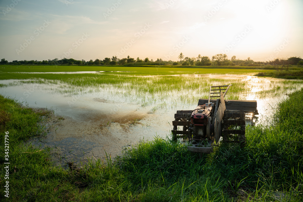 Old tiller or walking tractor in rice field in sunset. Agricultural and farming concept.
