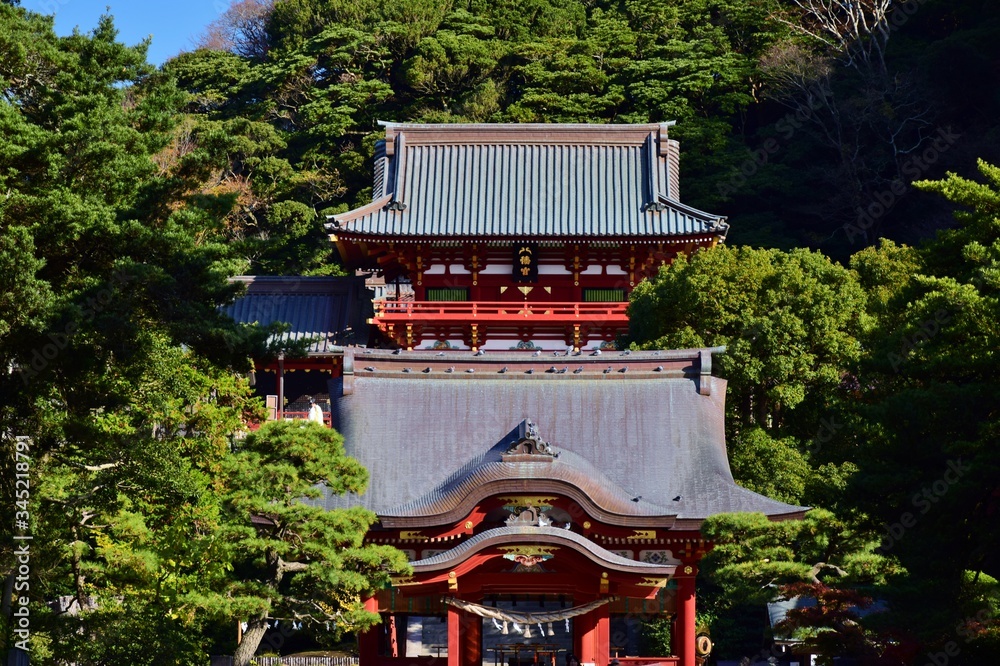 鎌倉 鶴岡八幡宮 鎌倉 鶴岡八幡宮