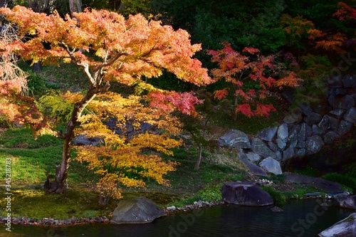 鎌倉 秋景