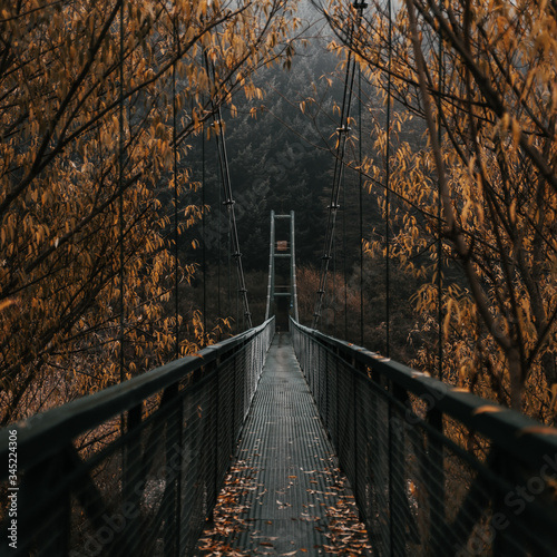The autumn bridge