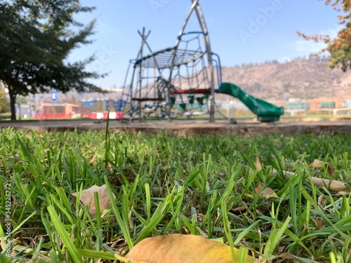 windmill in the field
