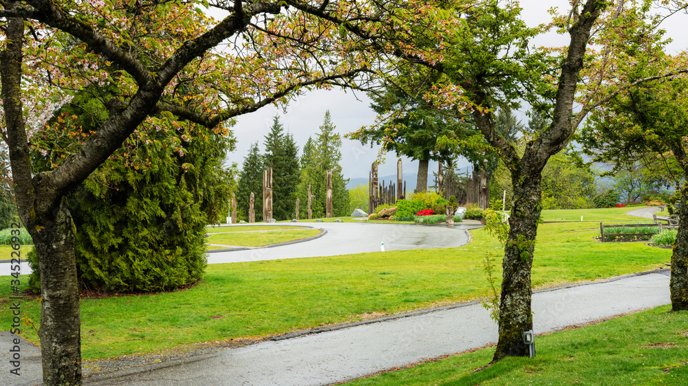 Burnaby Mountain Park looking fresh after light spring rain