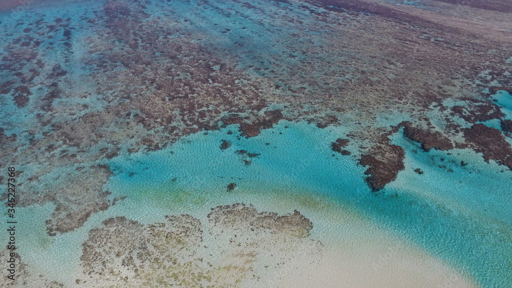 The Beauty of the New Caledonian Reef
