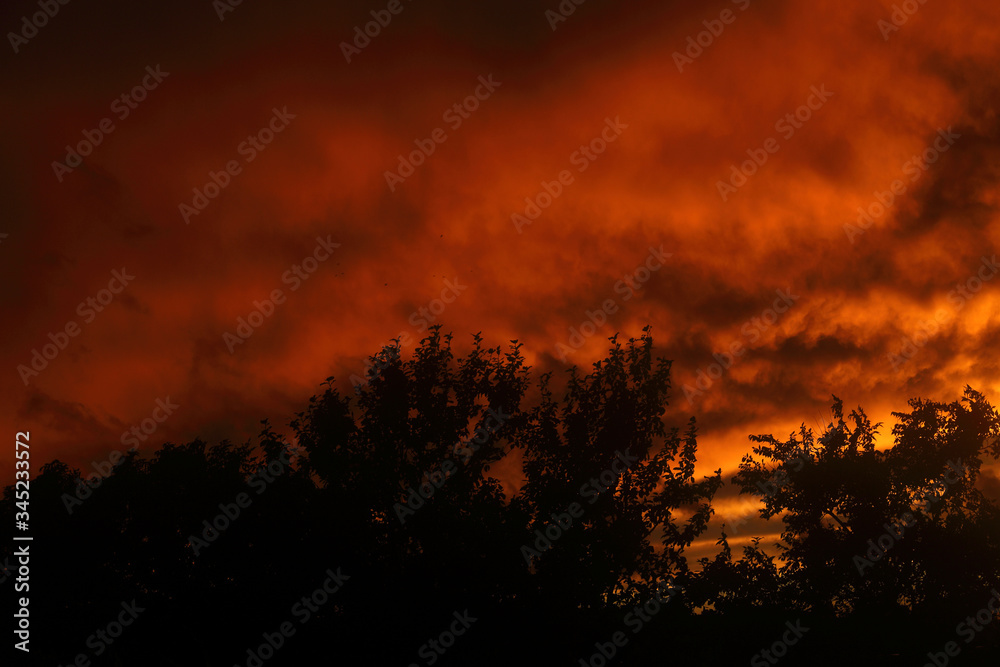 Obraz premium Apocalyptic sky and trees