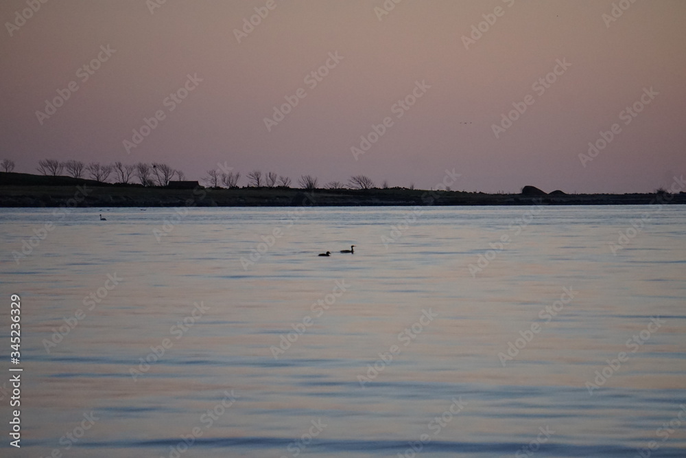 Fototapeta premium sunset on the sea