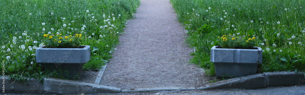 Park path in green grass with two square concrete flower beds