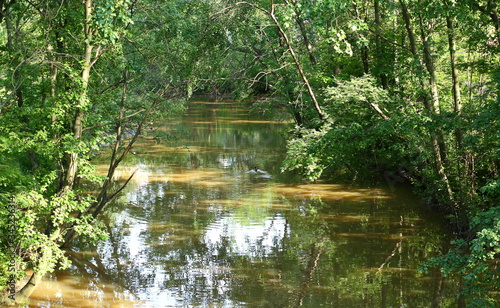 A narrow dark river with wooded banks