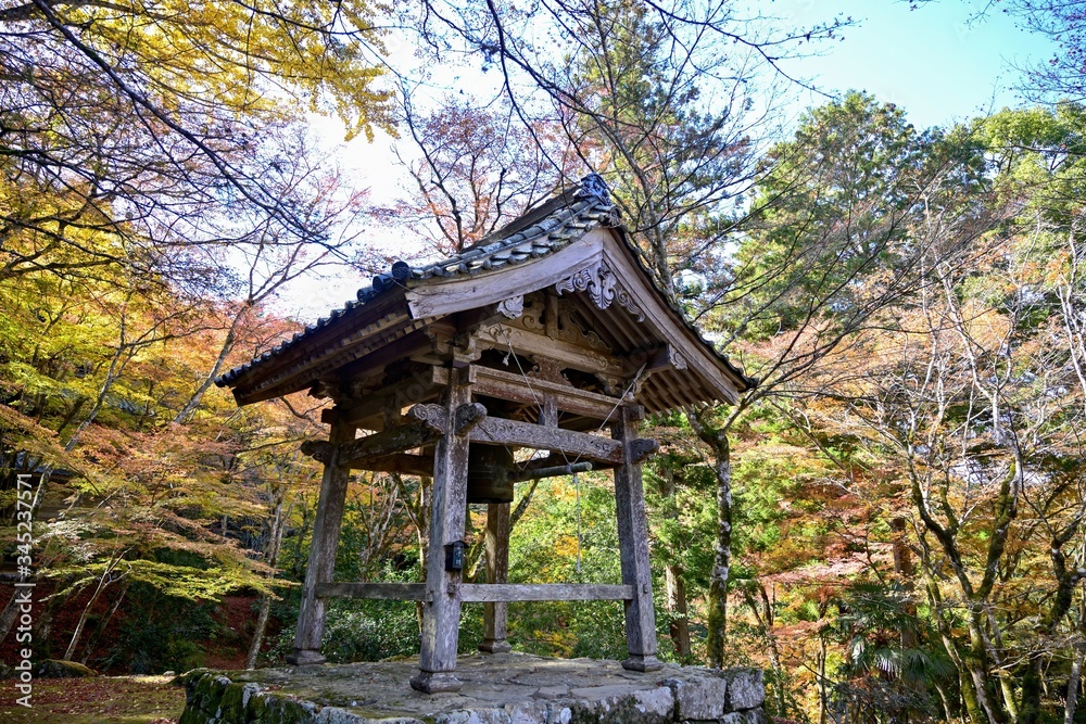紅葉に囲まれたお寺の古い鐘突堂 紅葉に囲まれたお寺の古い鐘突堂