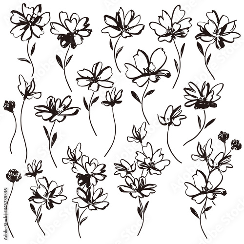 Flower vector illustration material abstract beautifully,