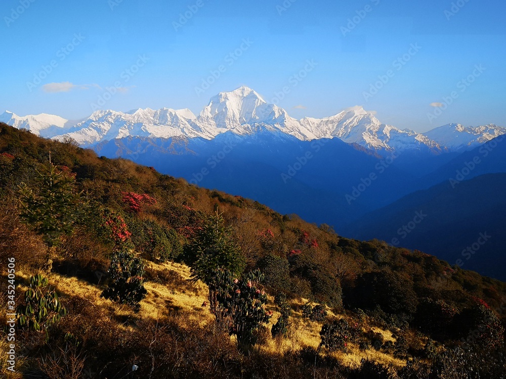 A beautiful picture of Annapurna Peaks, Poon Hill, Nepal