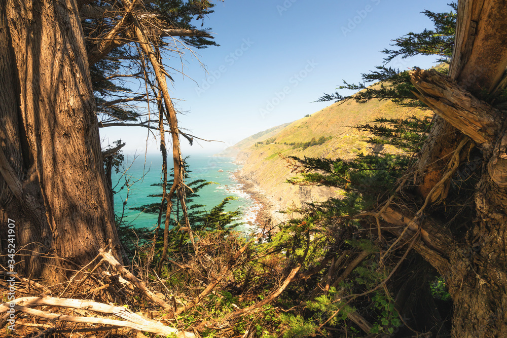 Big Sur at Ragged Point, California Coastline.  Scenic view of cliffs, ocean, and Cypress trees