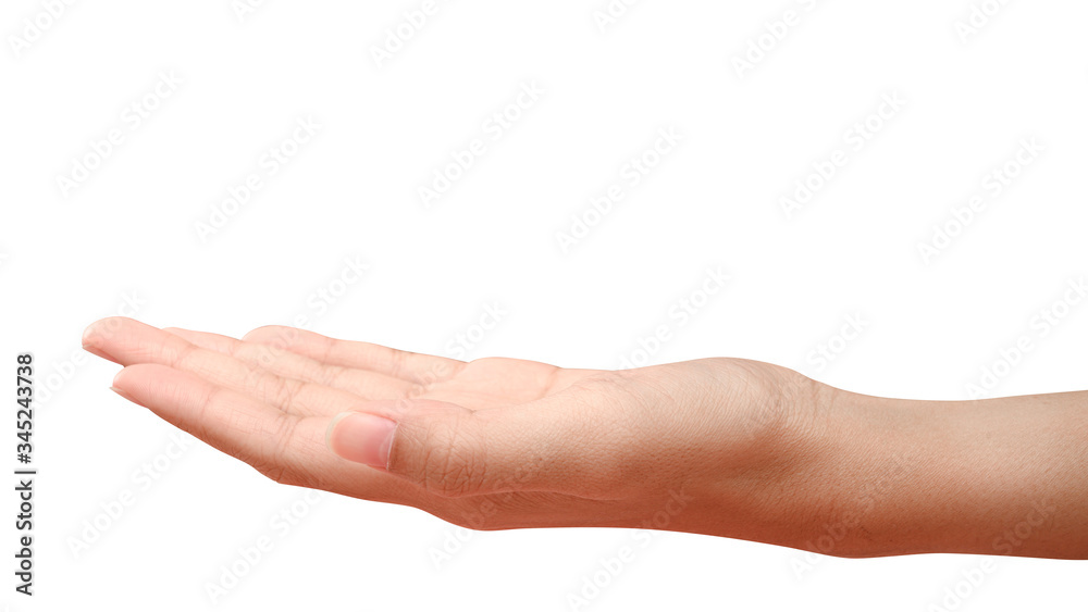 Hand open and ready to help or receive. Gesture isolated on white background with clipping path. Hand open and ready to help or receive. Gesture isolated on white background with clipping path.
