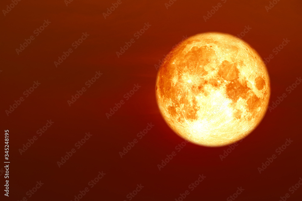 harvest blood moon back on silhouette red orange cloud and night sky harvest blood moon back on silhouette red orange cloud and night sky