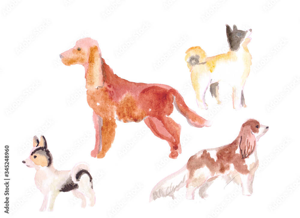 set of medium dogs, spaniel. watercolor can be used for printing on fabric, clothing, printing on orthotcards, booklets, web