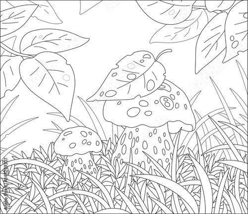 Two thick edible mushrooms hiding under leaves among grass on a pretty forest glade, black and white outline vector cartoon illustration for a coloring book page