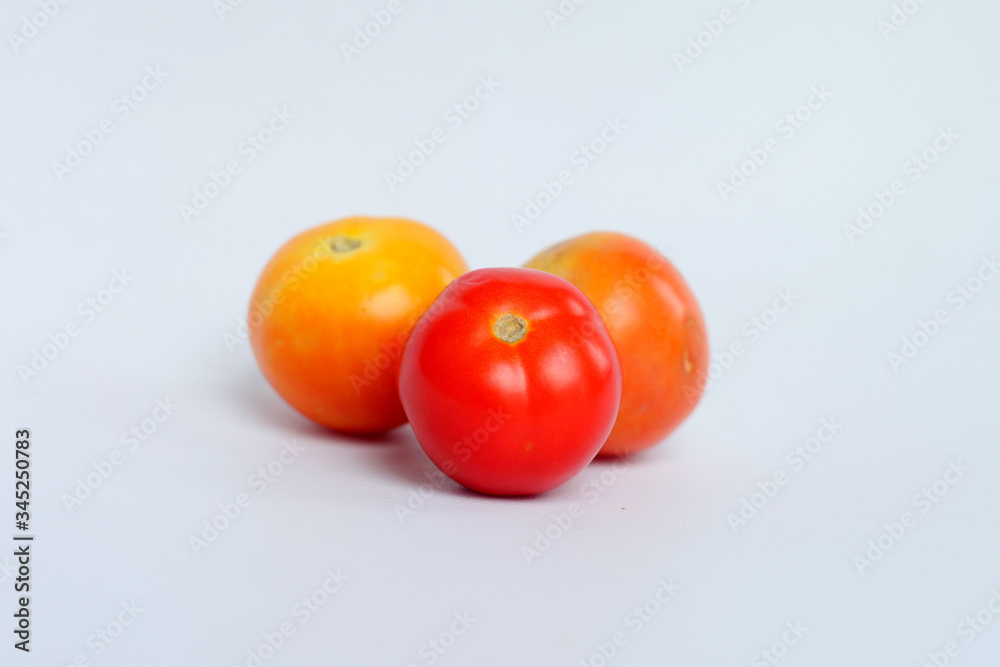 tomatoes on a white background tomatoes on a white background
