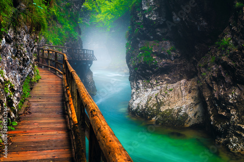 Obraz na plátně Misty Vintgar gorge with Radovna river after rain, Slovenia