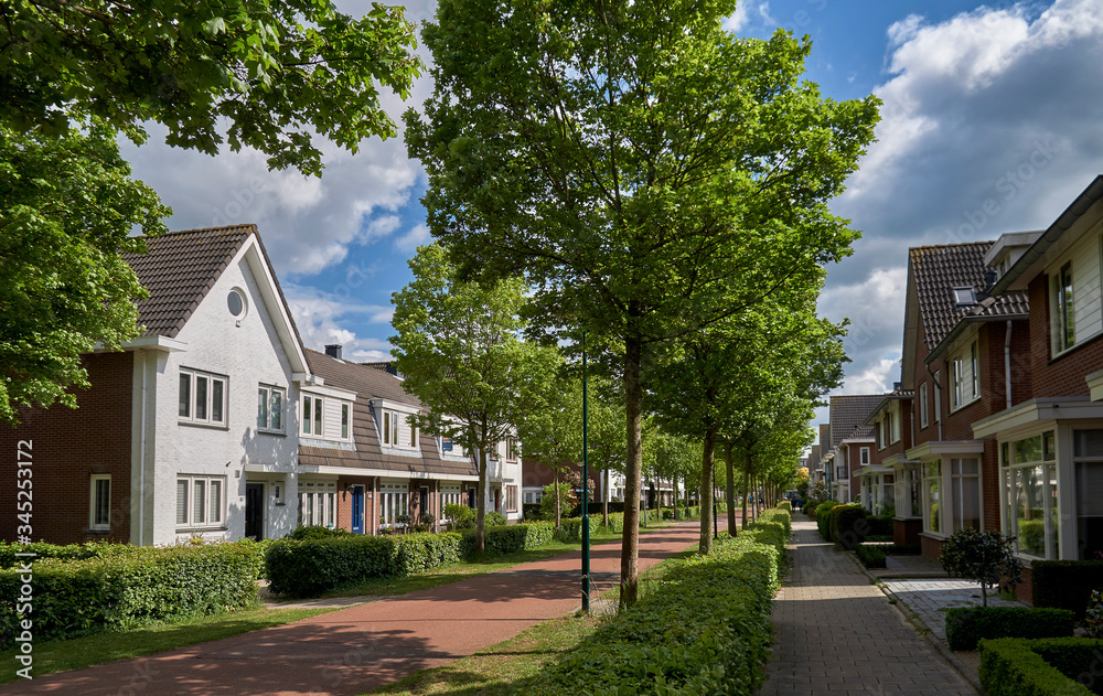 Residential street in the Netherlands with wide cycle lane, green hedge, sidewalk and no cars. Urbanism design for slow transportation neighbourhood                  