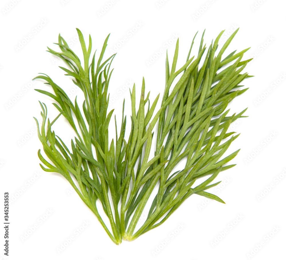 Green branches of dill are isolated on a white background. Green branches of dill are isolated on a white background.