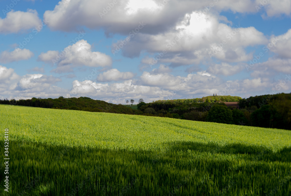 green field and blue sky with clouds, hill with trees