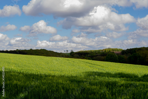 green field and blue sky with clouds, hill with trees