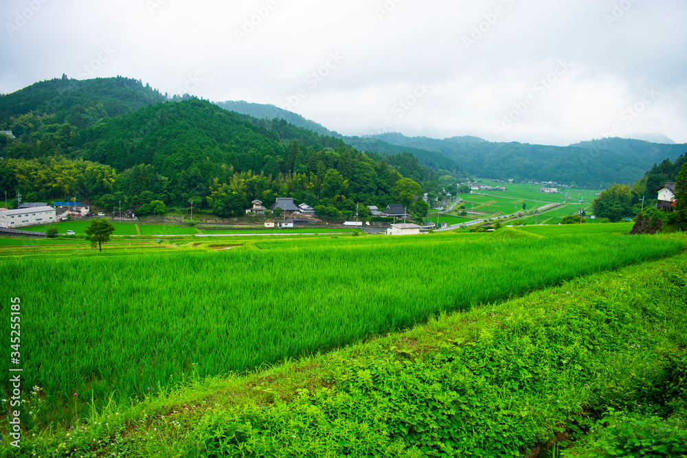 長谷の棚田 長谷の棚田