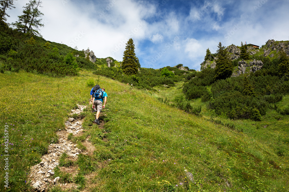 Obraz premium Trail to the Mount Jenner at the Berchtesgadener Land.
