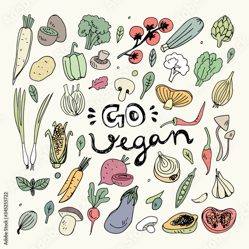 Vegan Food Doodles. Hand Drawn Vegetables. Corn,Potato,Mushroom,Olives,Tomato,Garlic,Onion,Eggplant,Peas,Broccoli,Papaya,Beet,Carrot,Hot Pepper.