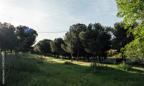 Madrid city park in spring Spain. photo