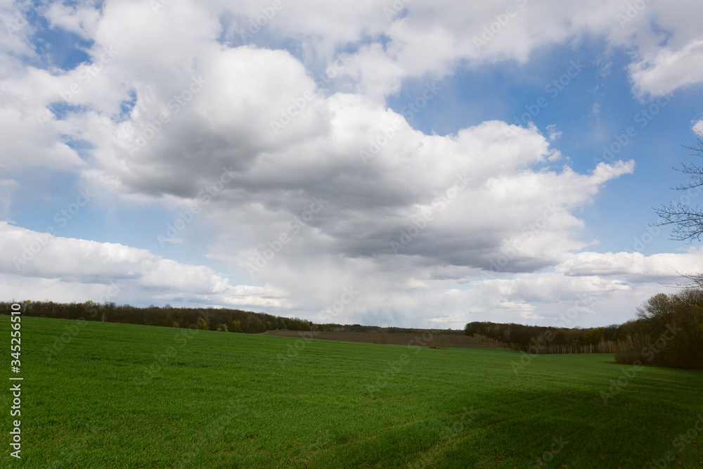 green field with growing trees under the clouds in the blue sky green field with growing trees under the clouds in the blue sky
