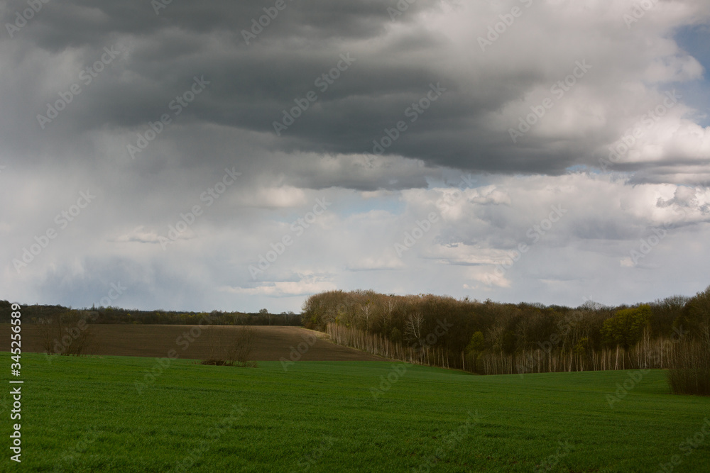 green field with growing trees under the clouds in the blue sky