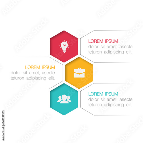 Vector iInfographic template for business, presentations, web design, 3 options.