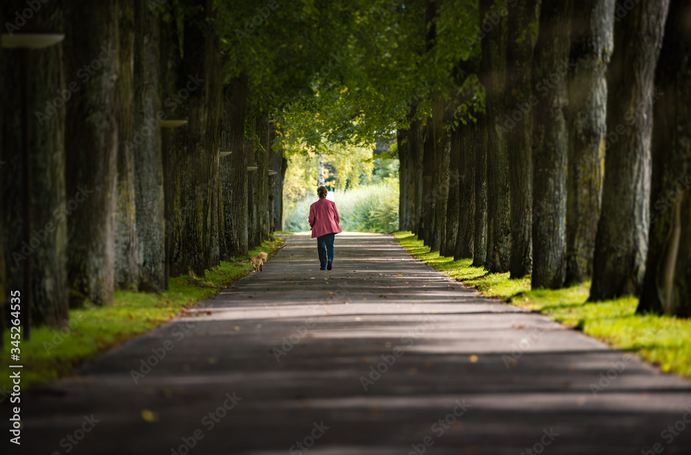 Woman walking with dog among trees in Germany