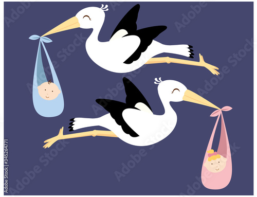 A vector illustration of two cute cartoon flying storks carrying a boy baby and a girl baby in their sacks