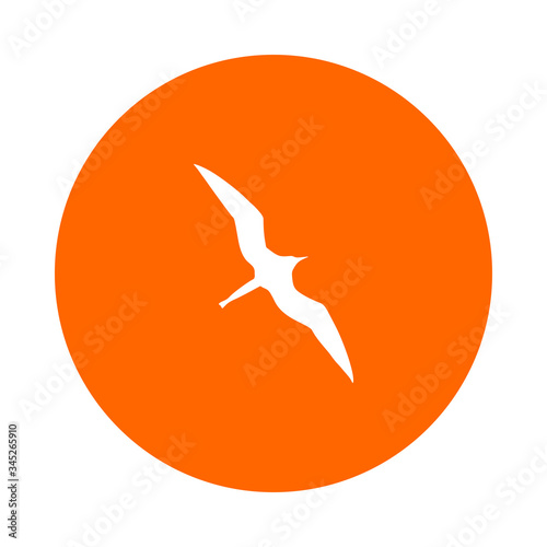 Fregattvogel und Kreis