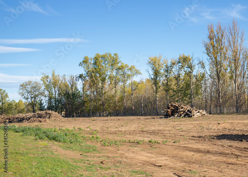 Large pile of woody material from land clearing of surrounding bush and trees  photo