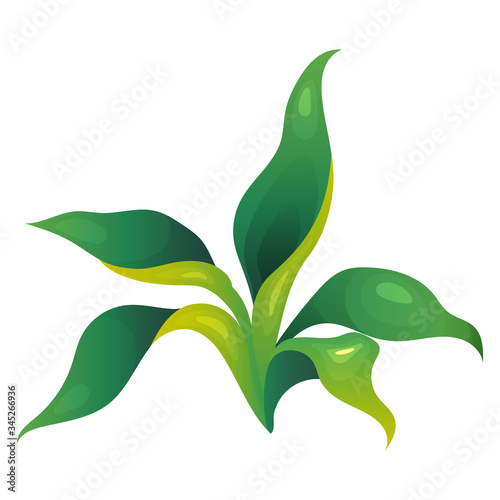 Jungle vegetation cartoon vector illustration. Long leaves fern. Decorative lush shrub. Rainforest greenery. Tropical bush flat color object. Exotic foliage isolated on white background