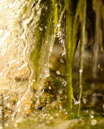 Thornden Park Waterfall and Behind the Falls - The Environment photo