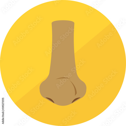 Human nose vector icon on yellow background