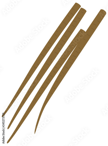 シンプルなごぼうのベクターイラスト