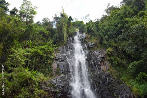 Scenic  waterfall in the forest in rural Kenya  Aberdare Ranges  Kenya