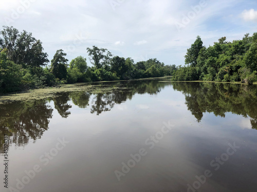 Fototapeta Naklejka Na Ścianę i Meble -  New Orleans Swamp with Trees and Blue Skies