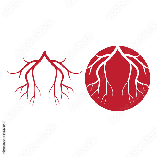 human veins, red blood vessels design and arteries Vector illustration isolated