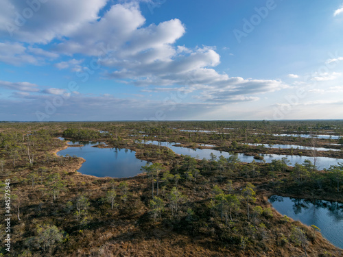 landscape with blue swamp lakes surrounded by small pine and birch trees and green moss on spring day © ANDA