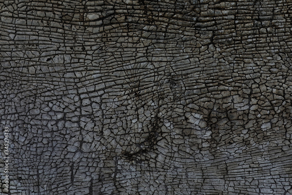 Fototapeta premium black leather texture