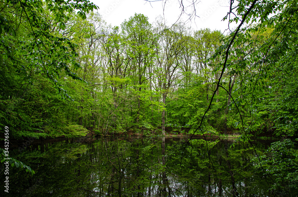 lake in the middle of the park
lake in the middle of the park