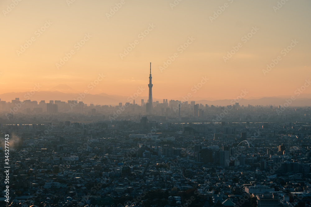 Tokyo skyline during twilight hours and the view of Mount Fuji