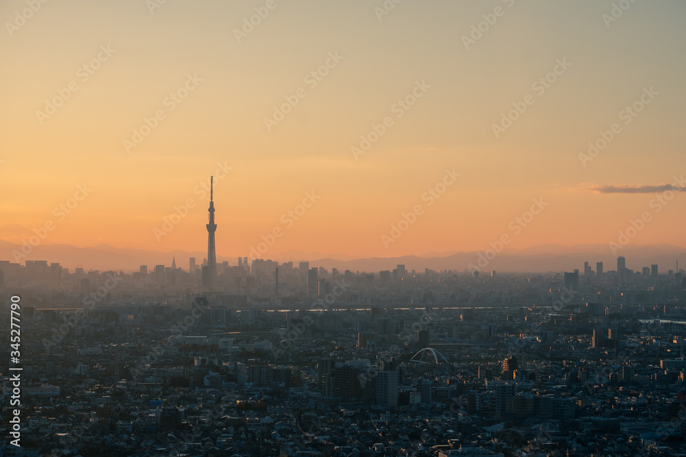 Tokyo skyline during twilight hours and the view of Mount Fuji