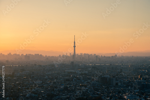 Canvas Print Tokyo skyline during twilight hours and the view of Mount Fuji