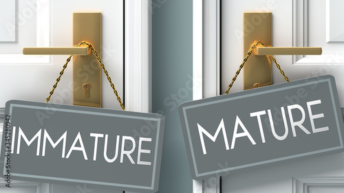 mature or immature as a choice in life - pictured as words immature, mature on doors to show that immature and mature are different options to choose from, 3d illustration photo
